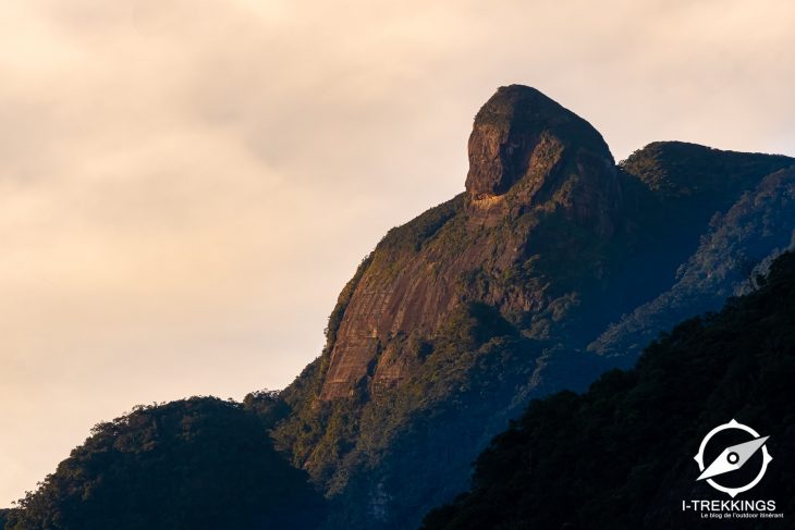 Randonnée dans les monts Knuckles au Sri Lanka