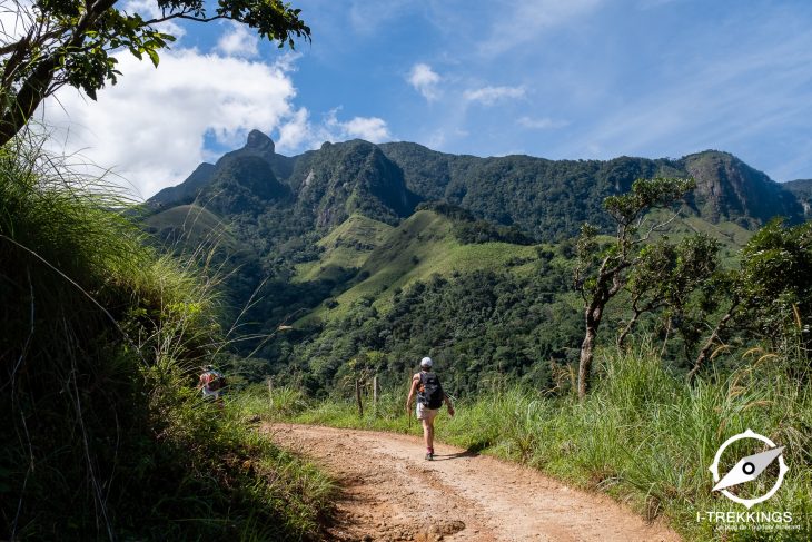 Randonnée dans les monts Knuckles au Sri Lanka