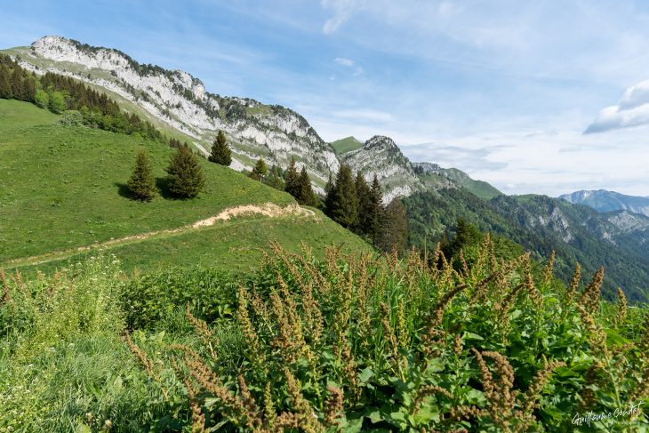 Tour du lac d'Annecy