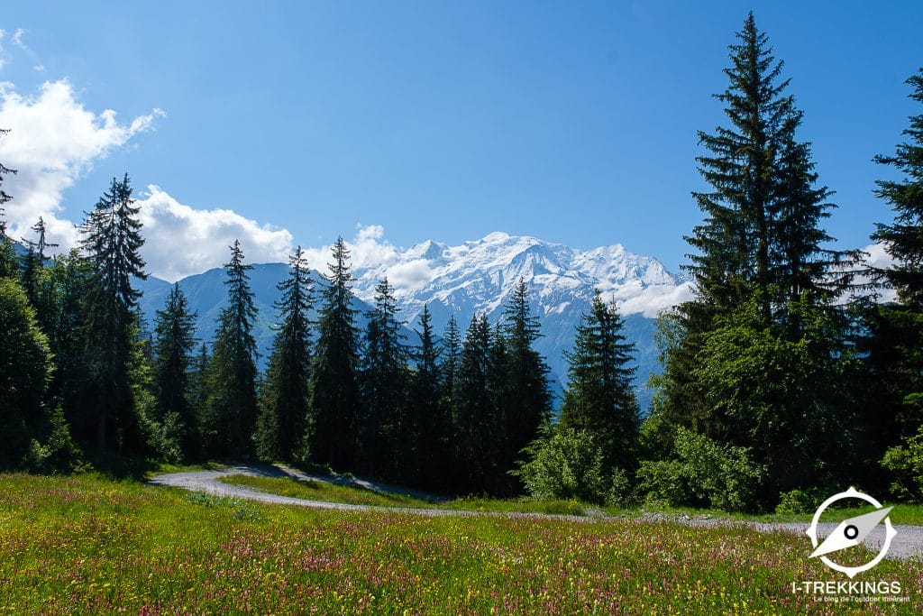 Panorama sur le Mont-Blanc