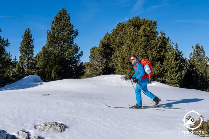 Test veste Patagonia Ascensionist