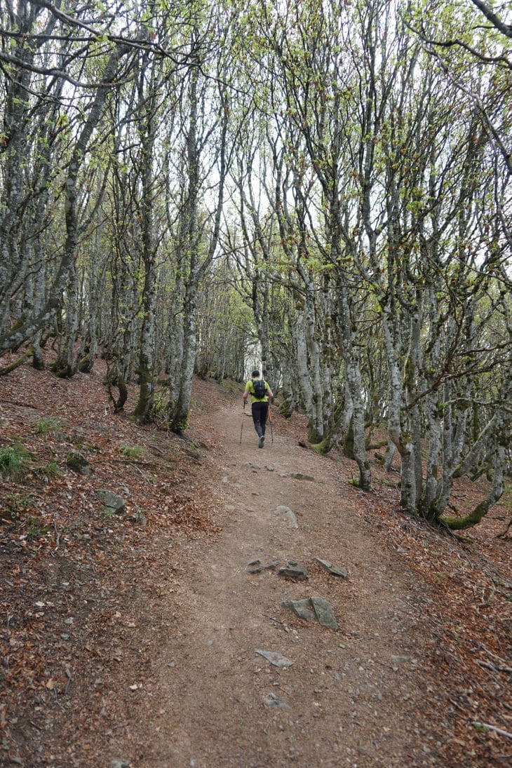 Les Vosges de l'intérieur