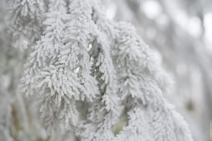 Neige sur le Vercors