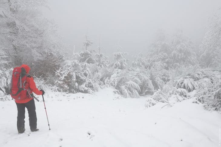 Brouillard vers le col de Sibérie, Haut Beaujolais