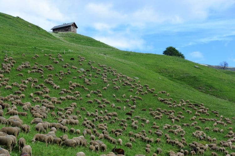 Valloire