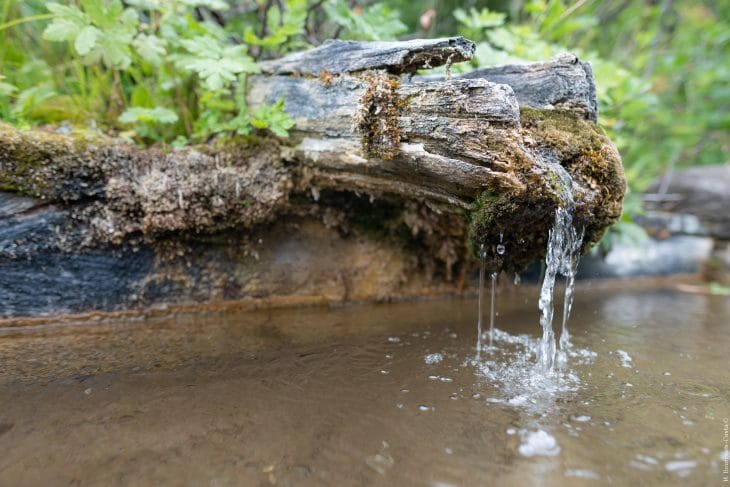 Guide pour traiter et filtrer l'eau en randonnée