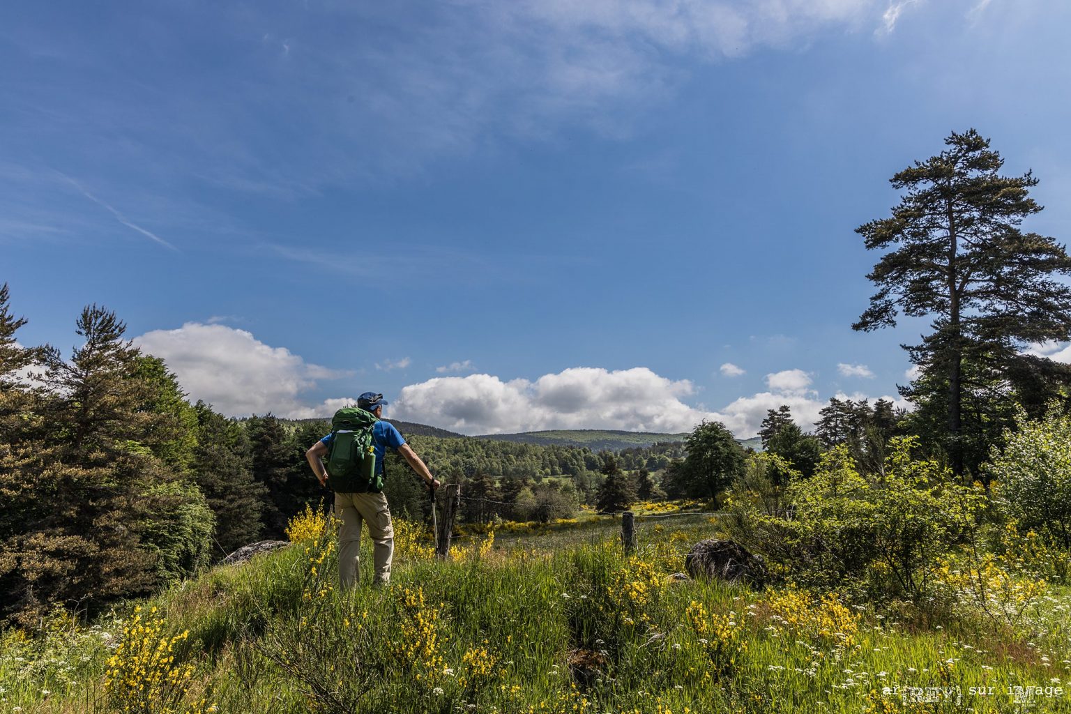 Traversée de la Margeride par le GR4