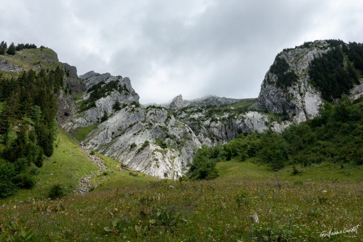 Massif de l'Étale Foiroux Chauchefoin