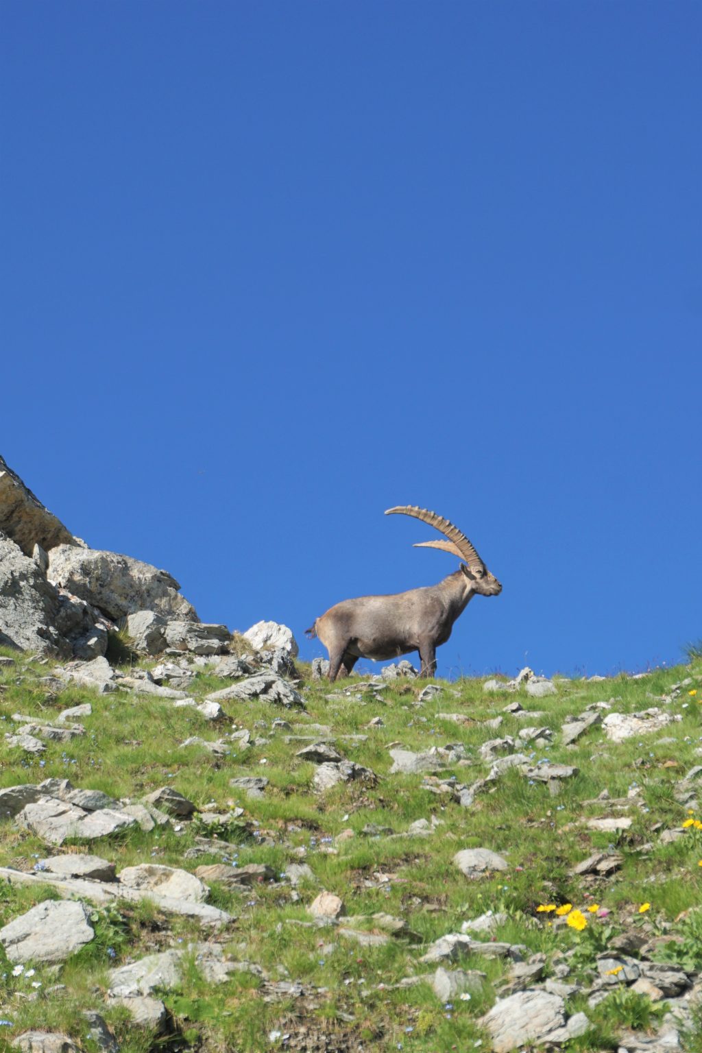 Traversée des Alpes,Modane à Menton