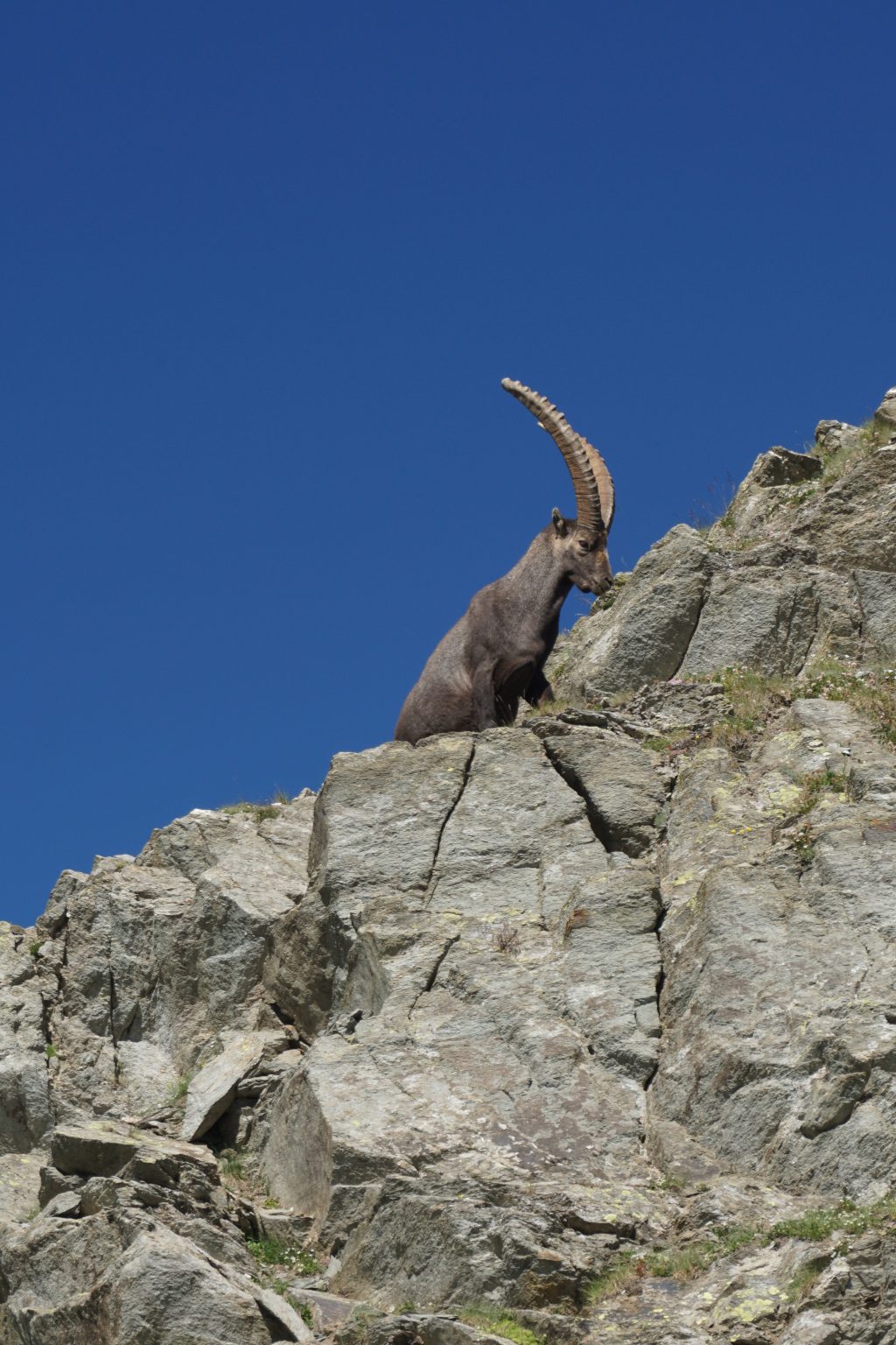 Traversée des Alpes,Modane à Menton