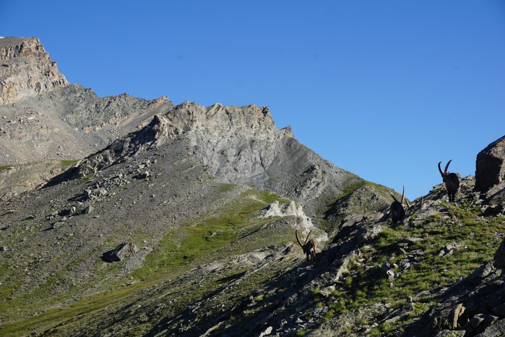 Traversée des Alpes,Modane à Menton