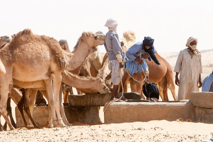 treks sahariens,mauritanie