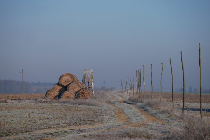 Plaine de pannonie , Randonnée en Transdanubie