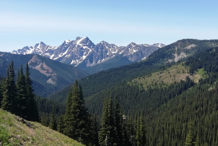 Pacific Crest Trail section Washington