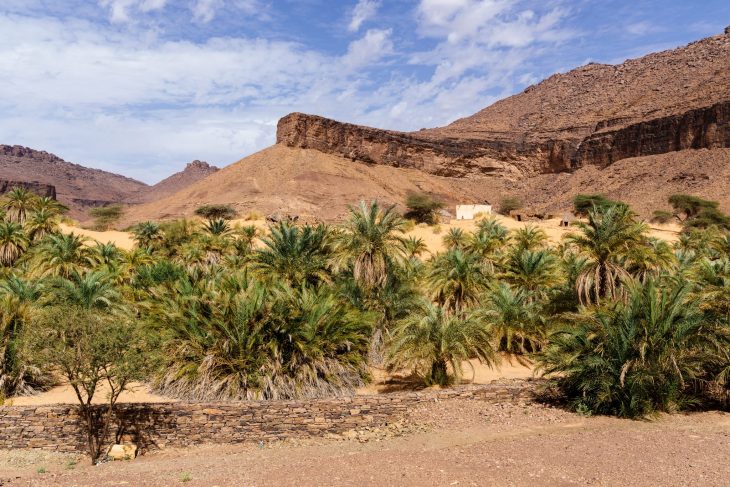 Oasis de Terjit, Mauritanie