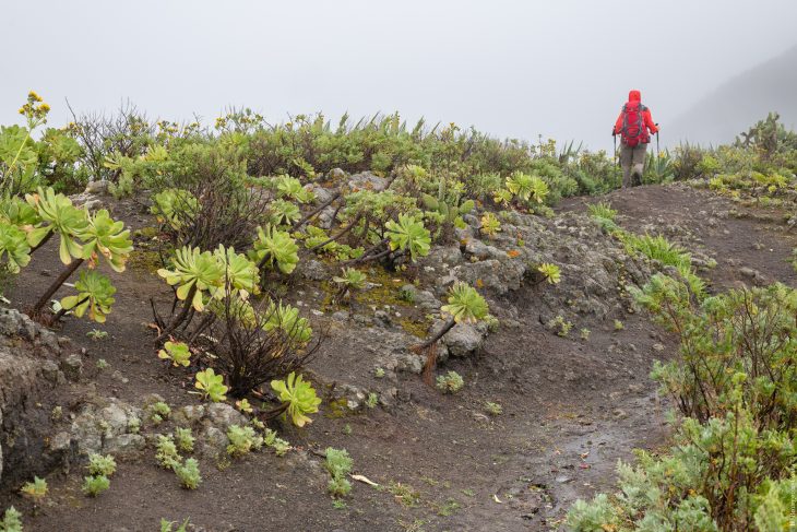 Grande traversée de Tenerife à pied par le Latitud Tenerife