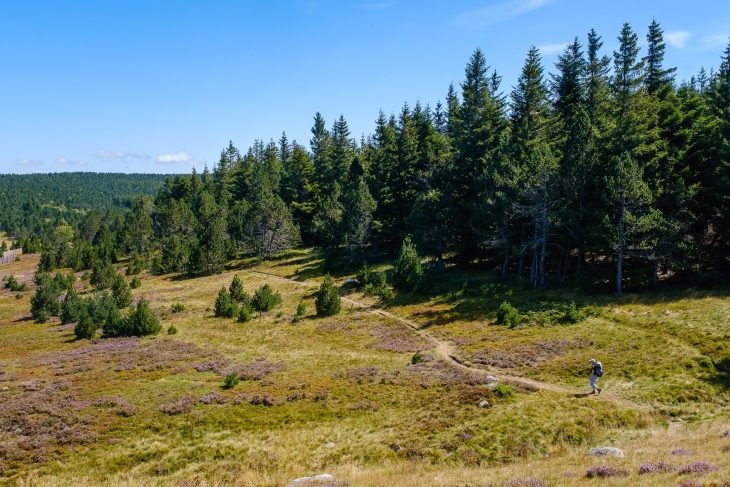 Mont Lozère, GR®7, traversée du Massif Central par les parcs