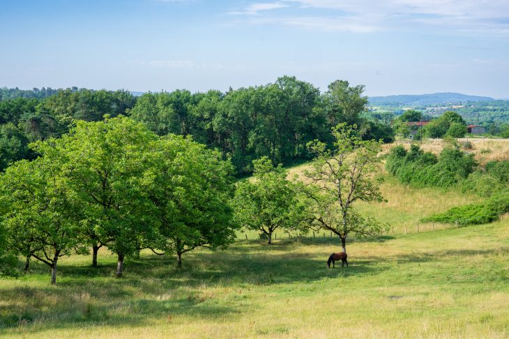 Bocage corrézien