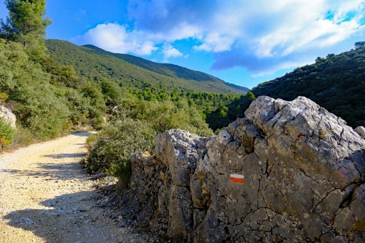 Vallon de la Glacière (Grand Luberon, Vaucluse)