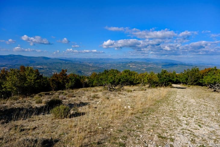 Pentes nord du Grand Luberon (Vaucluse)