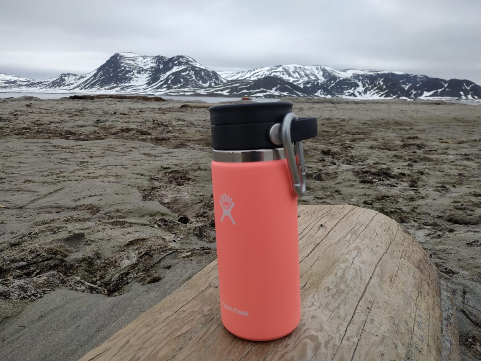 Test tasse Hydroflask 16 oz Coffee with Flex Sip™ Lid