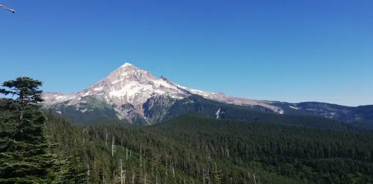 Pacific Crest Trail - Section Oregon