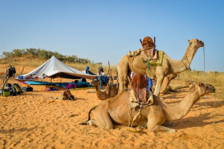 Méharée au Sénégal