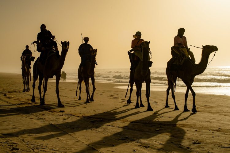 Méharée au Sénégal