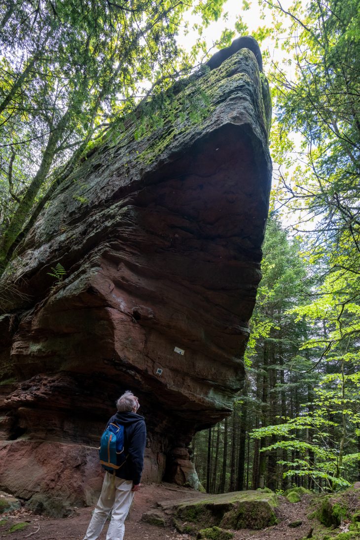 Roche du Grand Nez, GR® de Pays de la Déodatie (boucle Nord)