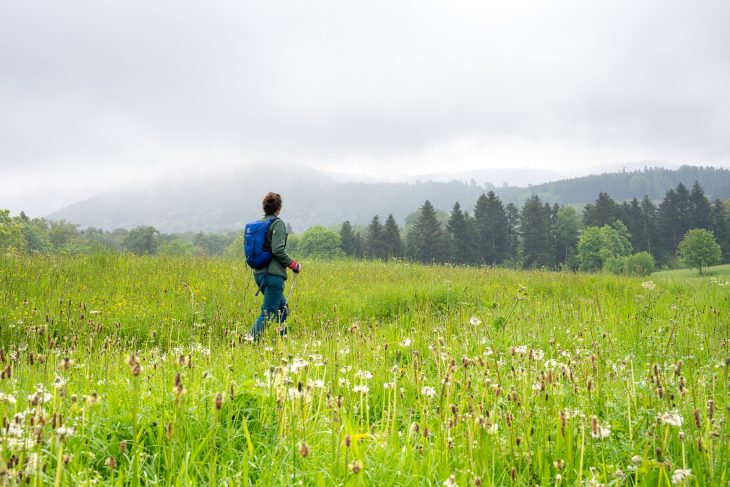 En route pour le col des raids, GR® de Pays de la Déodatie (boucle Nord)