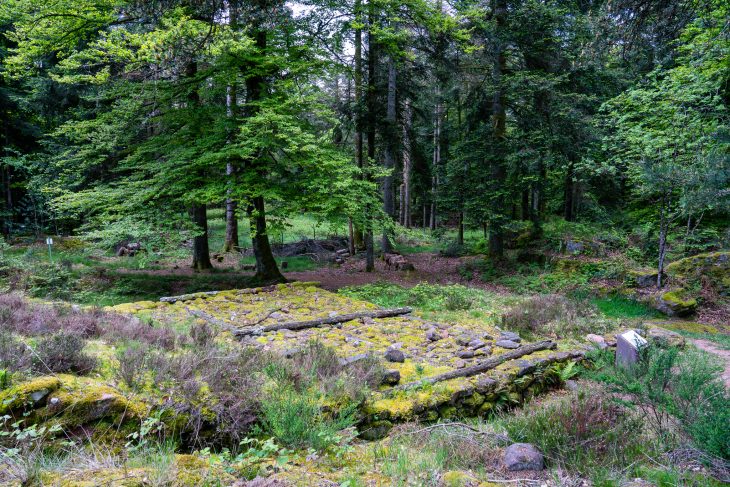 Murus gallicus, camp celtique de la Bure