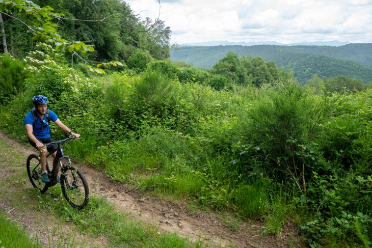 Haute-Corrèze à VTT, Flore du Chavanon