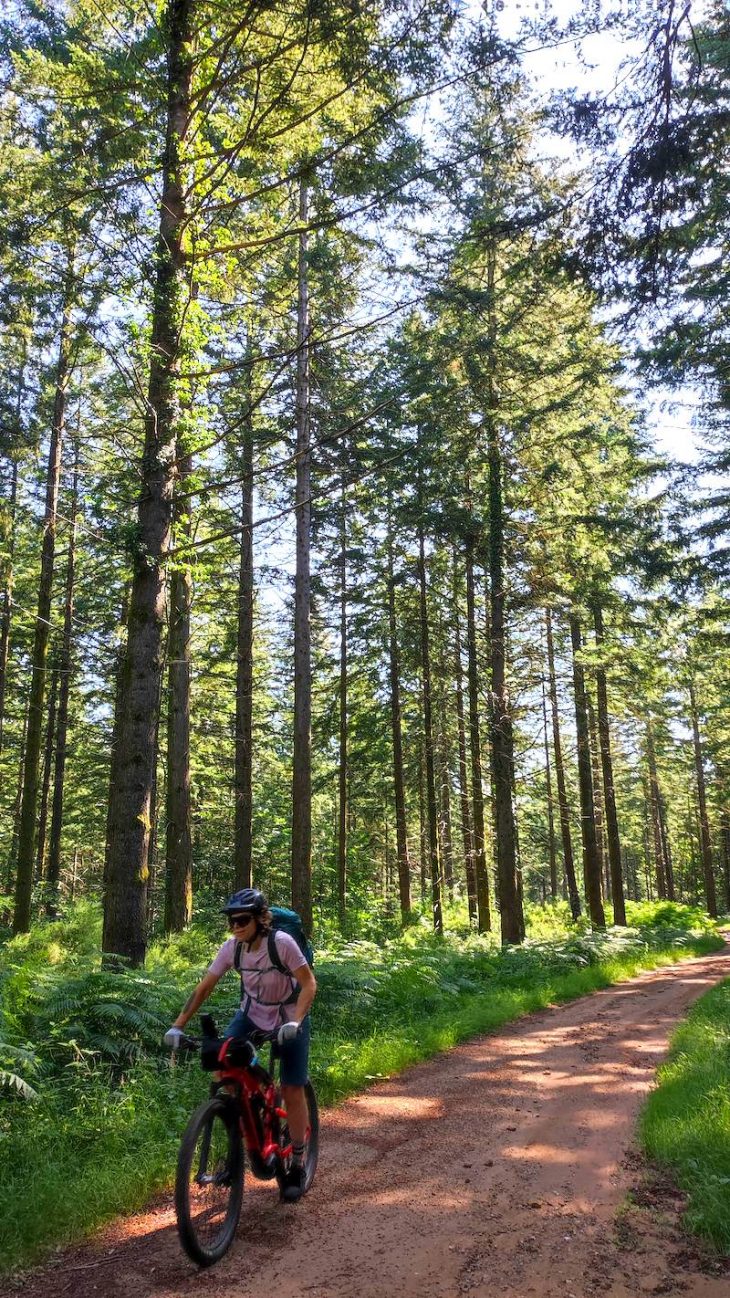 De belles forêts au départ du J3