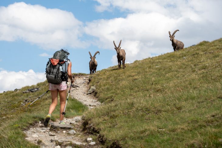 Tour des glaciers de la Vanoise en bivouac