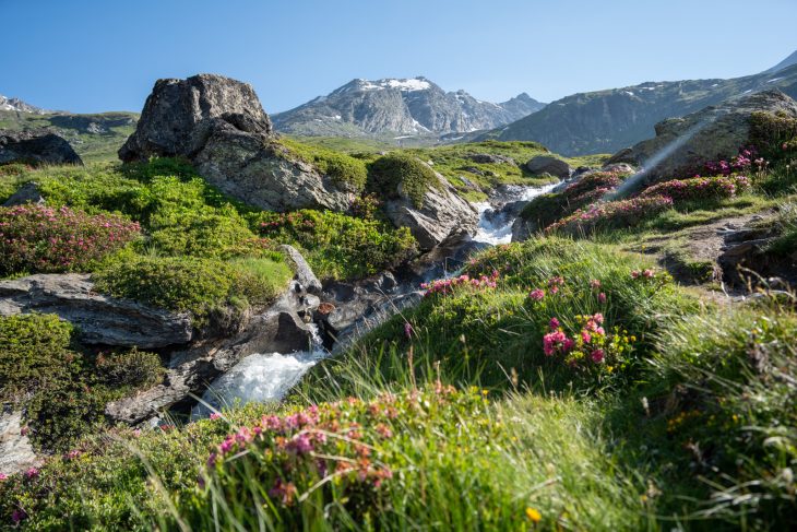 Tour des glaciers de la Vanoise en bivouac