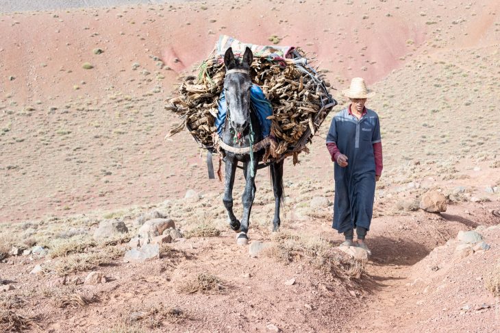 Grande Traversée de l'Atlas central