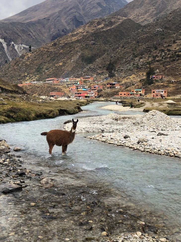 Cocoyo, Bolivie