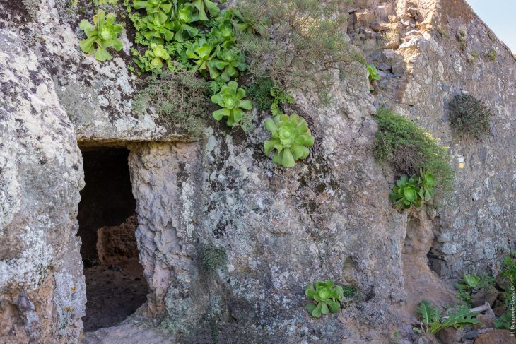 Randonnées dans le parc naturel rural d’Anaga à Tenerife