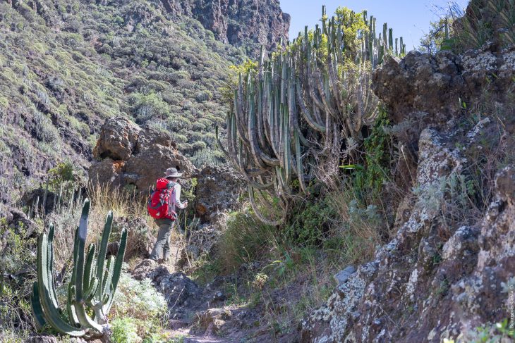 Randonnées dans le parc naturel rural d’Anaga à Tenerife