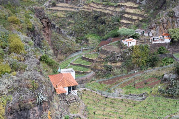 Randonnées dans le parc naturel rural d’Anaga à Tenerife