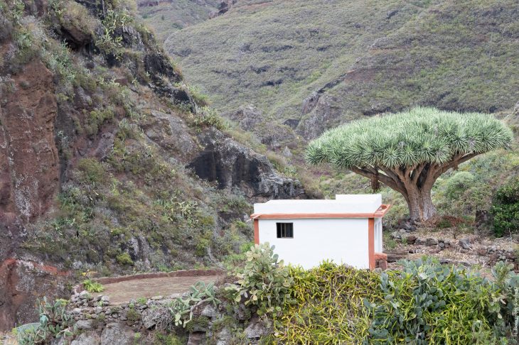 Randonnées dans le parc naturel rural d’Anaga à Tenerife