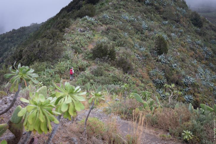 Randonnées dans le parc naturel rural d’Anaga à Tenerife