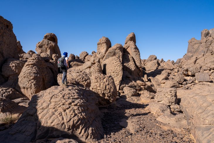 Tassili N'Ajjer