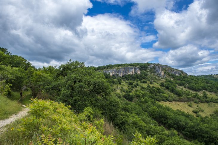 Sur les chemins de Compostelle : itinéraires à pied et à vélo vers Saint-Jacques