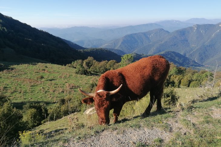 Randonnée en Catalogne : des Pyrénées de Gérone à la Costa Brava