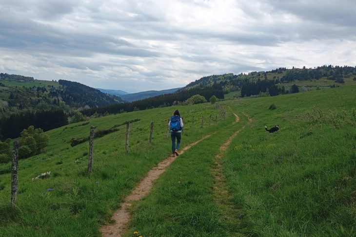 Test sac à dos Ortovox Peak 42 S