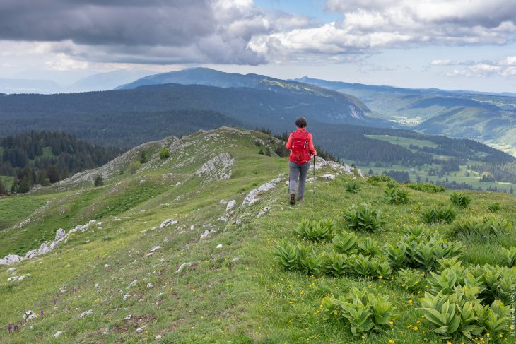 Grande traversée des Crêtes du Jura suisse