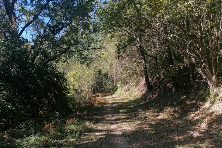 Randonnée en Catalogne : des Pyrénées de Gérone à la Costa Brava