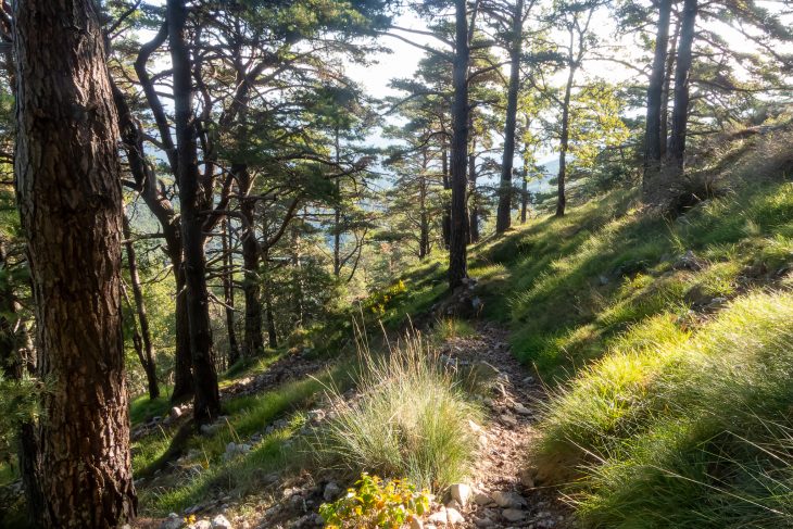 Randonnée en Catalogne : des Pyrénées de Gérone à la Costa Brava