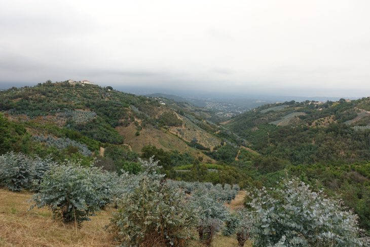 Arrière-pays cultivé - GR®51, de Marseille à Nice